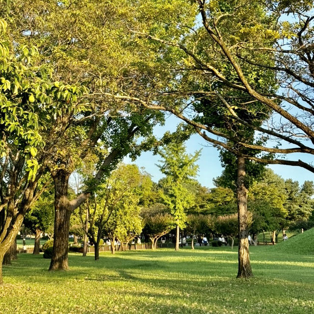 GYEONGJU'S HIDDEN TREASURES | THE ROYAL TOMBS OF THE SILLA DYNASTY 