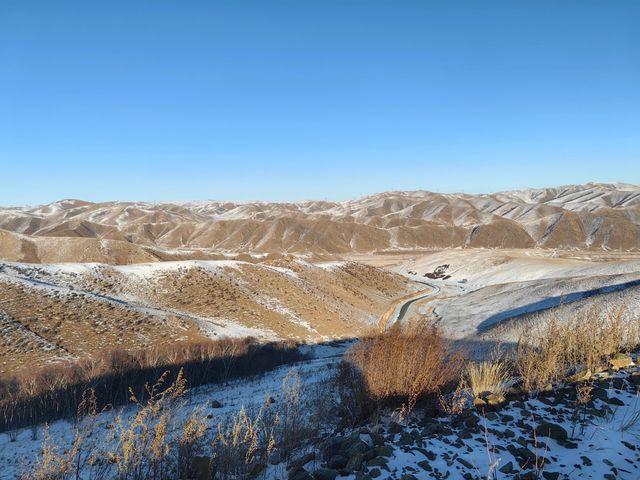 內蒙古紅石崖｜看雪看駱駝