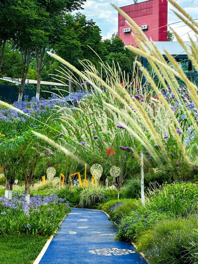 雲南省博物館小遊園，解鎖文化與自然的浪漫邂逅