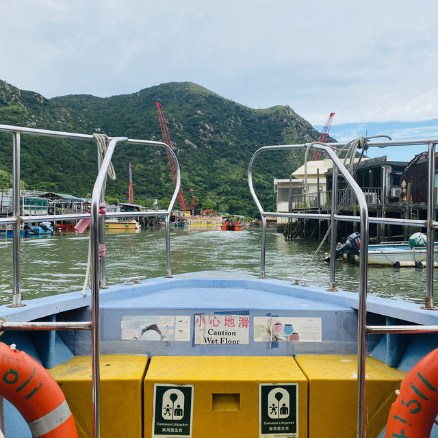 Tai O Boat Trip 🚤🇭🇰 Watch the Chinese Pink Dolphin! 🐬💓