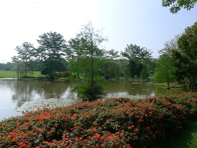 熱帶植物園·百花園——花的海洋。