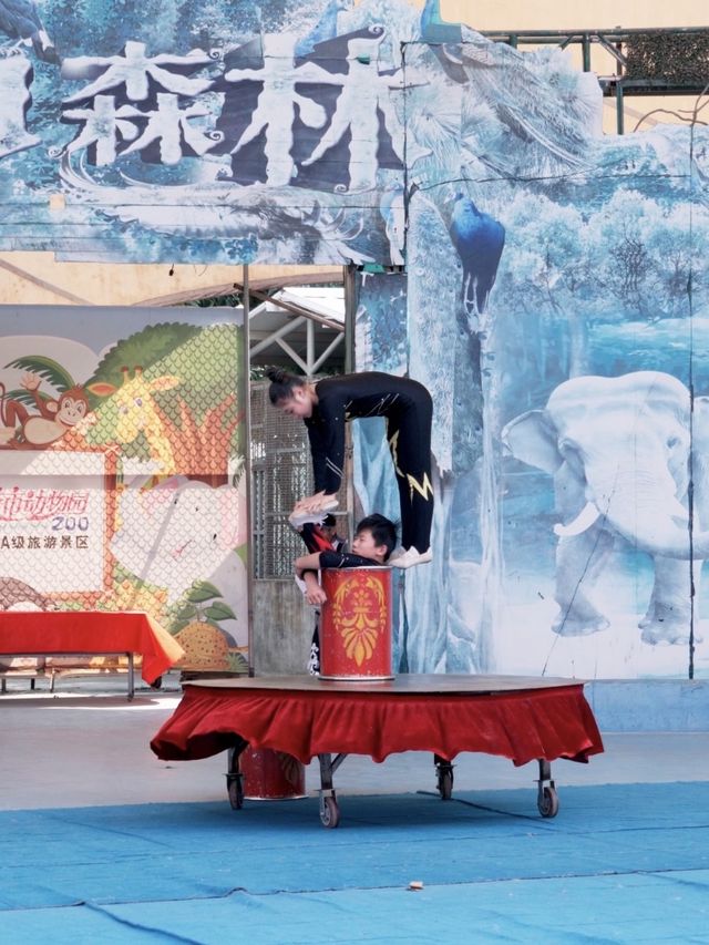 東莞香市動物園 | 與可愛動物們的奇妙邂逅。