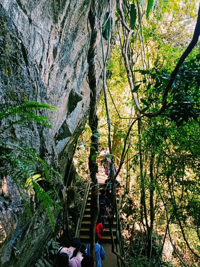 Xishuangbanna Botanic Garden: Real Jungle Garden!