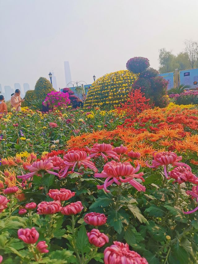 武漢太厲害了！11月賞秋好去處免費還出片！