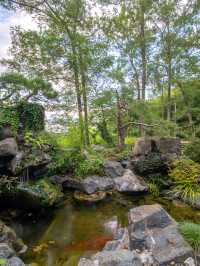 黃山酒店•像是住進博物館🟫。