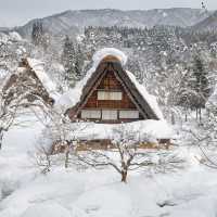 日本白川鄉合掌村感受童話般的雪國秘境