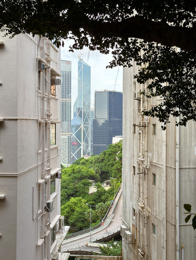 香港攻略｜上太平山頂可別走半山扶梯了吧！