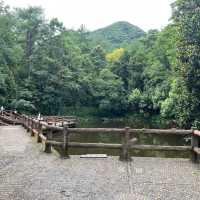 大奇山國家森林公園：山水之間的靜謐天地