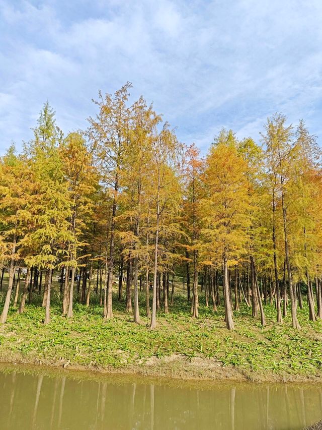 深圳紅花嶺公園