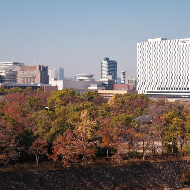 Osaka & Kyoto: A Perfect Blend of Modern Vibes and Timeless Beauty 🌆🎎