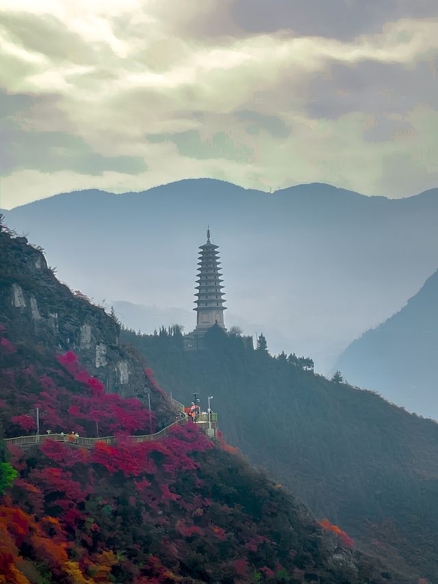 人生建議總要去巫山看一次紅葉吧