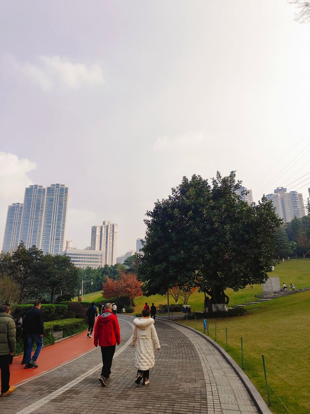 重慶公園巡禮之龍頭寺公園