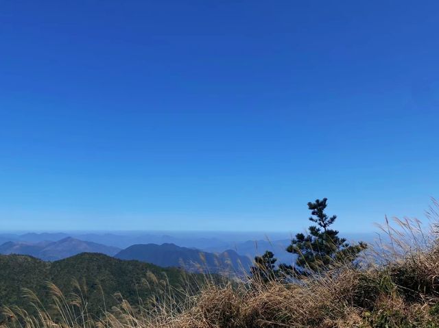 想體驗不一樣的旅行嗎？來大芹山吧！