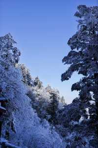 【雪域峨眉】冬季峨眉山，探秘冰雪世界的佛教聖地