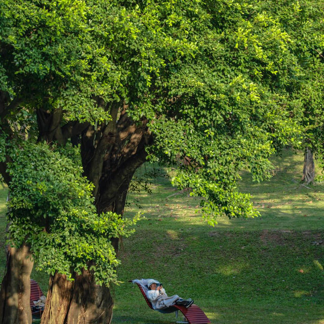 在深圳這座公園，找到了我的精神庇護區🍃