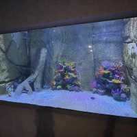 Great Oceanarium located in Shopping Mall 