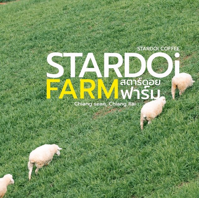 สตาร์ดอยคอฟฟี่ Stardoi Coffee&Farmstay ฟาร์มแกะดอย