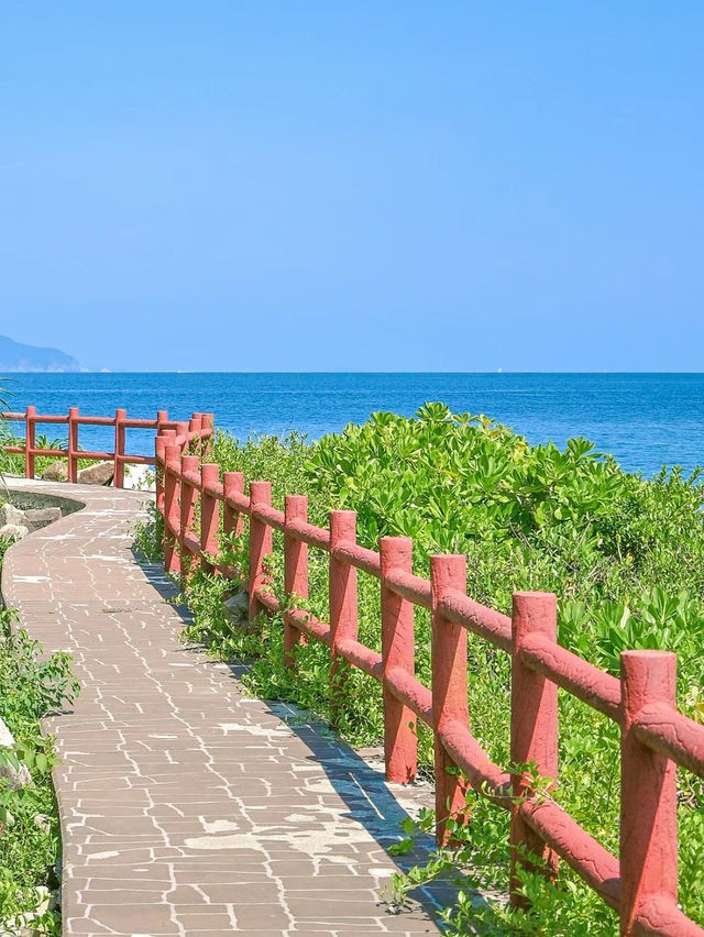 塔門島，母愛的夏日祭典