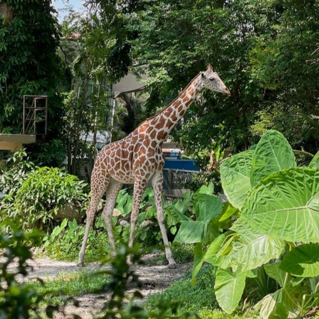 Wonderful place to visit - Zoo Negara Malaysia