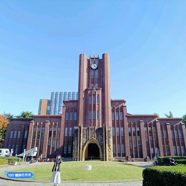 東京賞銀杏：東京大學正門銀杏並木