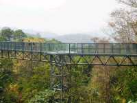 The Canopy Walks ทางเดินเหนือเรือนยอดไม้เชียงใหม่