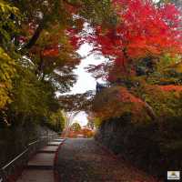 Shinnyodo Temple