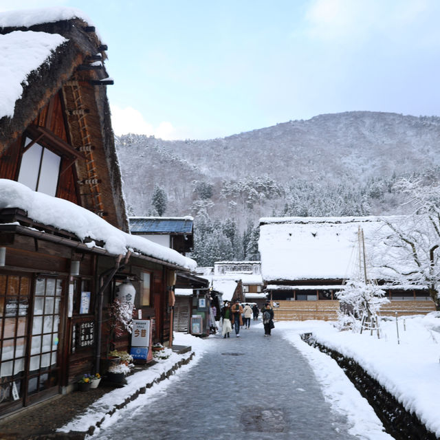 白川鄉冬日