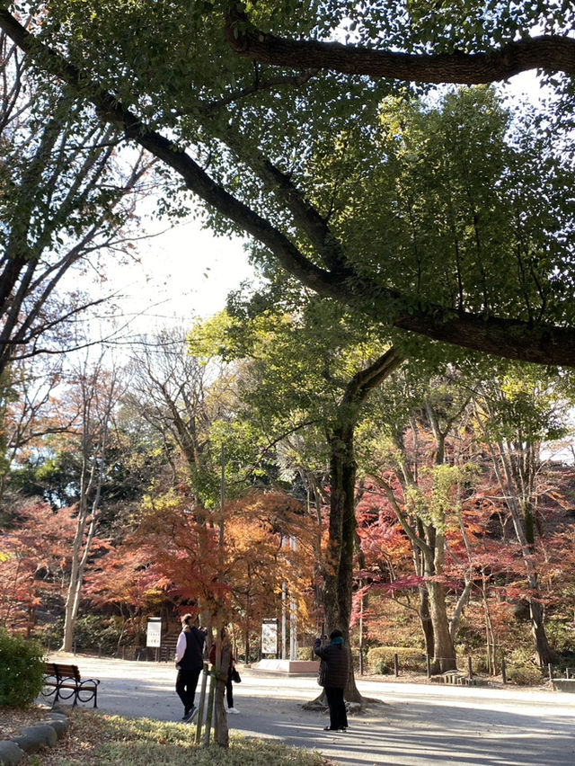 東京鐵塔🗼必來，紅色地標必拍，展望台有月份吊飾可買