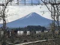 You can see Mt Fuji in December everyday till you get bored 👀