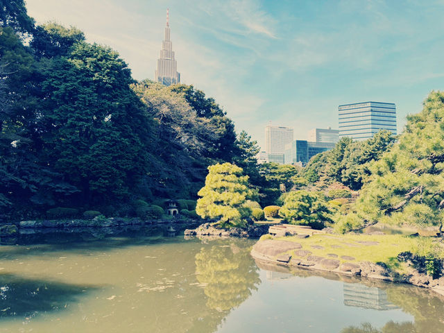 旅遊遊記：探索東京的綠洲——新宿御苑🌳🌼🌻