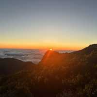 Madeira Magic: Known as The Hawaii of Europe 