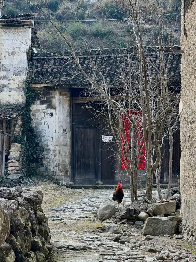 重走梁林路：延福寺——山下鮑村