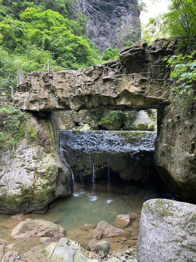 湖北秭歸三峽竹海