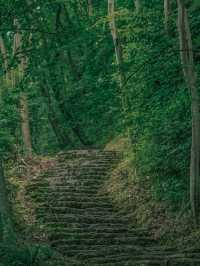 成都國慶這樣過|2小時直達探秘九皇山的秋天。