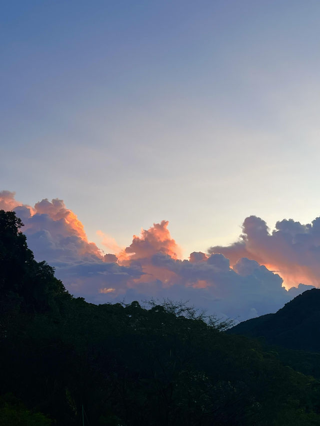 廣州｜ 黃埔油麻山森林公園。