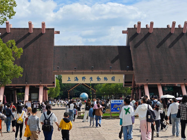 上海野生動物園‖旅遊必去小孩老人都喜歡。