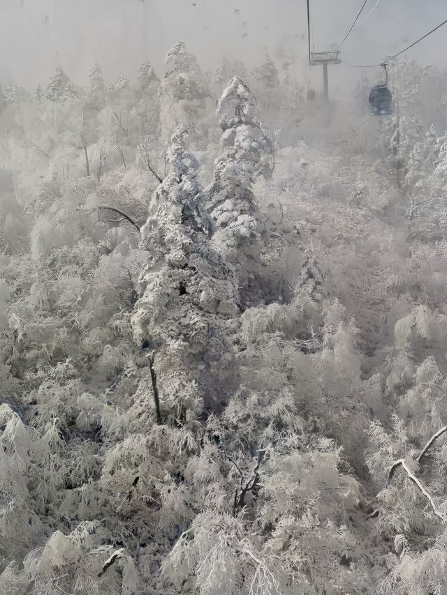 銀裝素裹的西嶺雪山，已美到 next level！