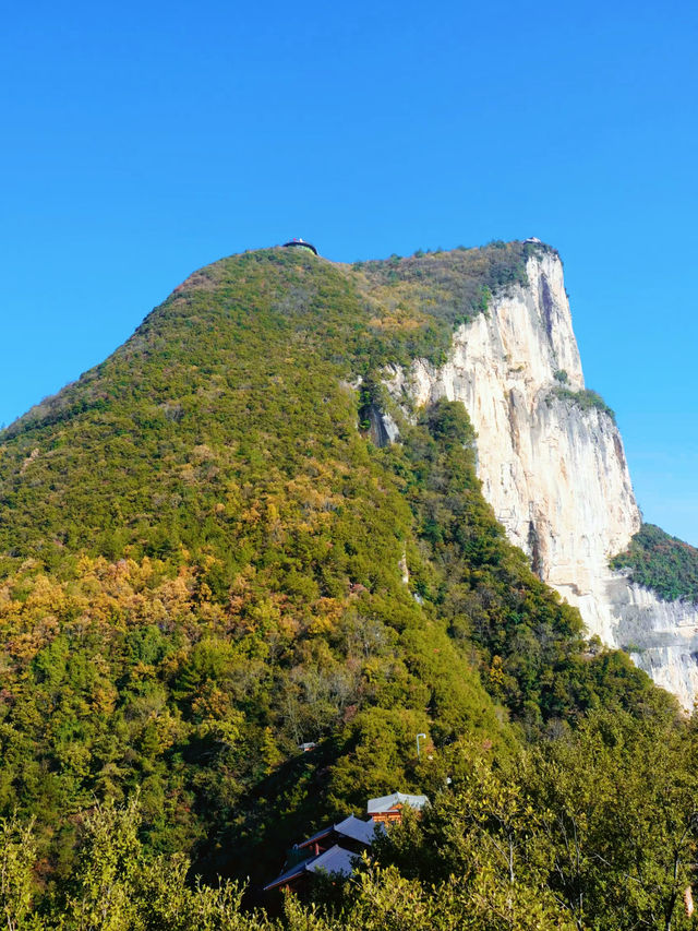 旅遊特種兵重慶主城出發，一日遊徒步打卡三峽之巔！。