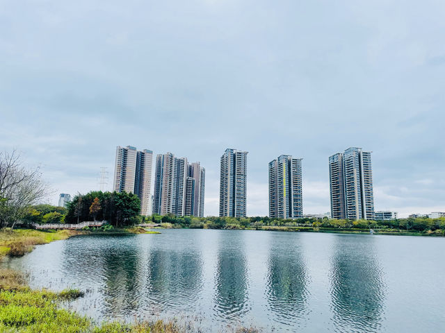 花都湖 | 城市綠洲，免費遊！