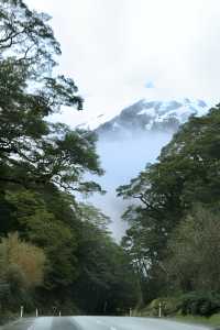 蒂阿瑙—米爾福德峽灣沿途的治癒系風景