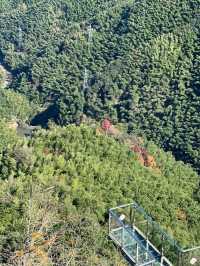 余姚中村景區｜登高賞秋