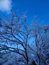 老君山雪景探秘之旅