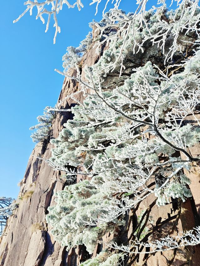 古人不曾欺我——登黃山天下無山，觀止矣