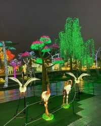 Exciting News: 50% Off Mississauga Illumi Light Show!