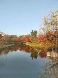 初遊上海世博文化公園