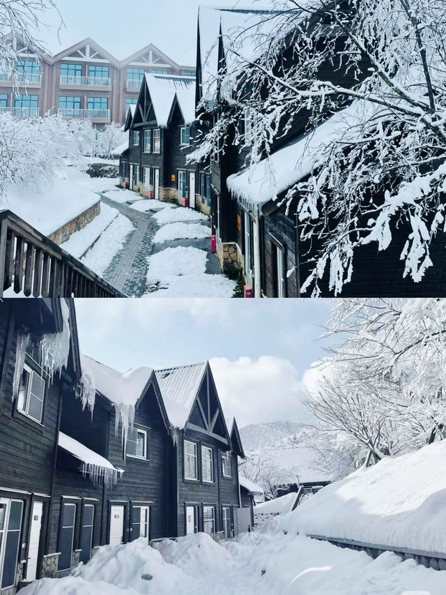 誰不愛這樣的西嶺雪山 