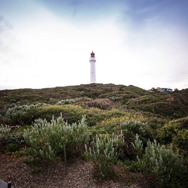 Secret Lookout at Great Ocean Road