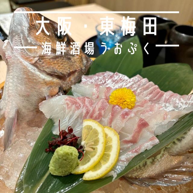 【大阪・東梅田】生簀の鮮魚で釣り上げ即味わえる体験型居酒屋「海鮮酒場 うおぷく」