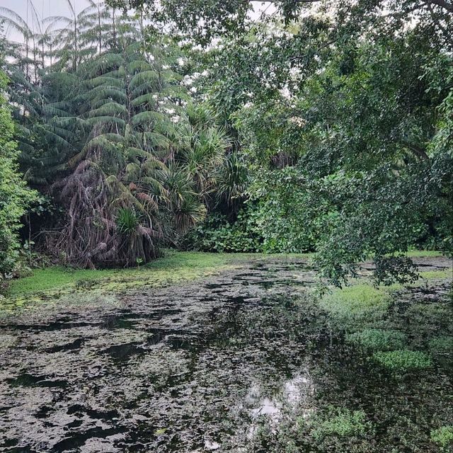 新加坡植物園（Singapore Botanic Gardens）