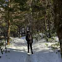 Japan hiking at Kamikochi